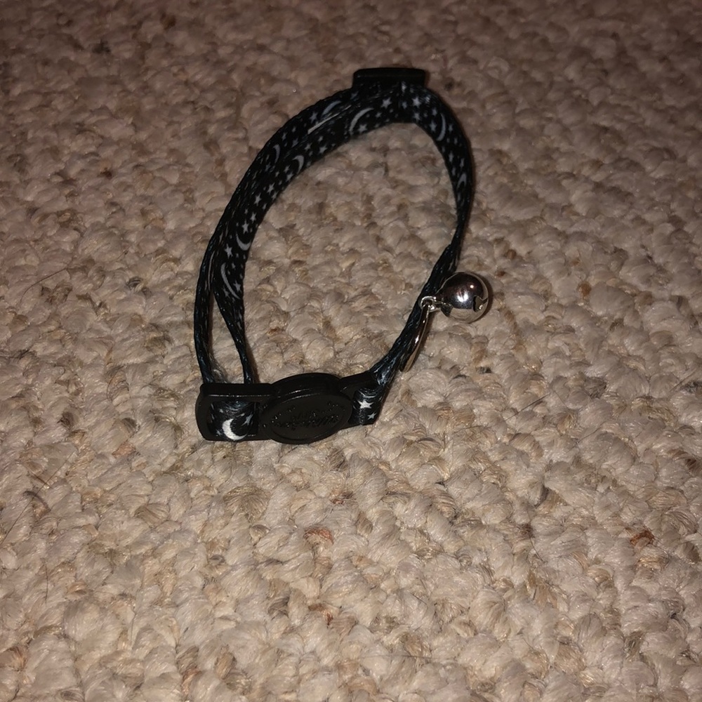 Black Whisker City Cat Collar